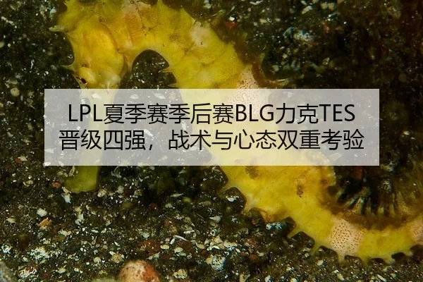 LPL夏季赛季后赛BLG力克TES晋级四强，战术与心态双重考验